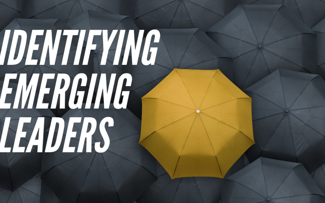 Identifying Emerging Leaders